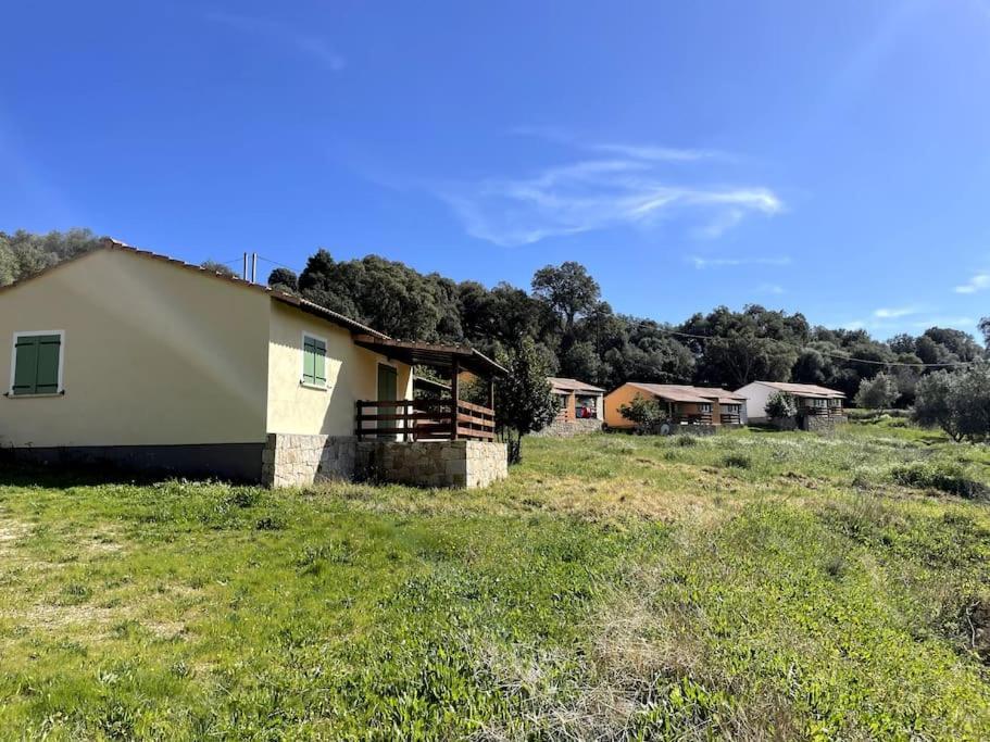 Maison Au Calme Avec Piscine Et Climatisation Sollacaro Exterior photo